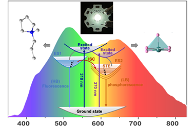 Lead-free organic antimony halide with dual-band intrinsic white light emission for warm WLED directly 2025.100678